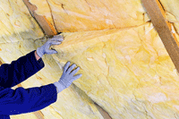 batts in the attic, Boston, Boxborough MA